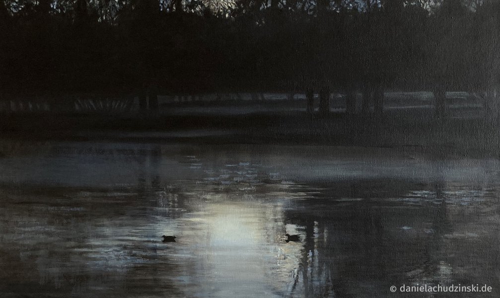 Winterabend mit Enten/ winter evening with ducks