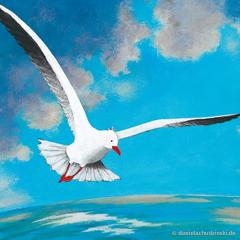 Die Möwe und der Himmel